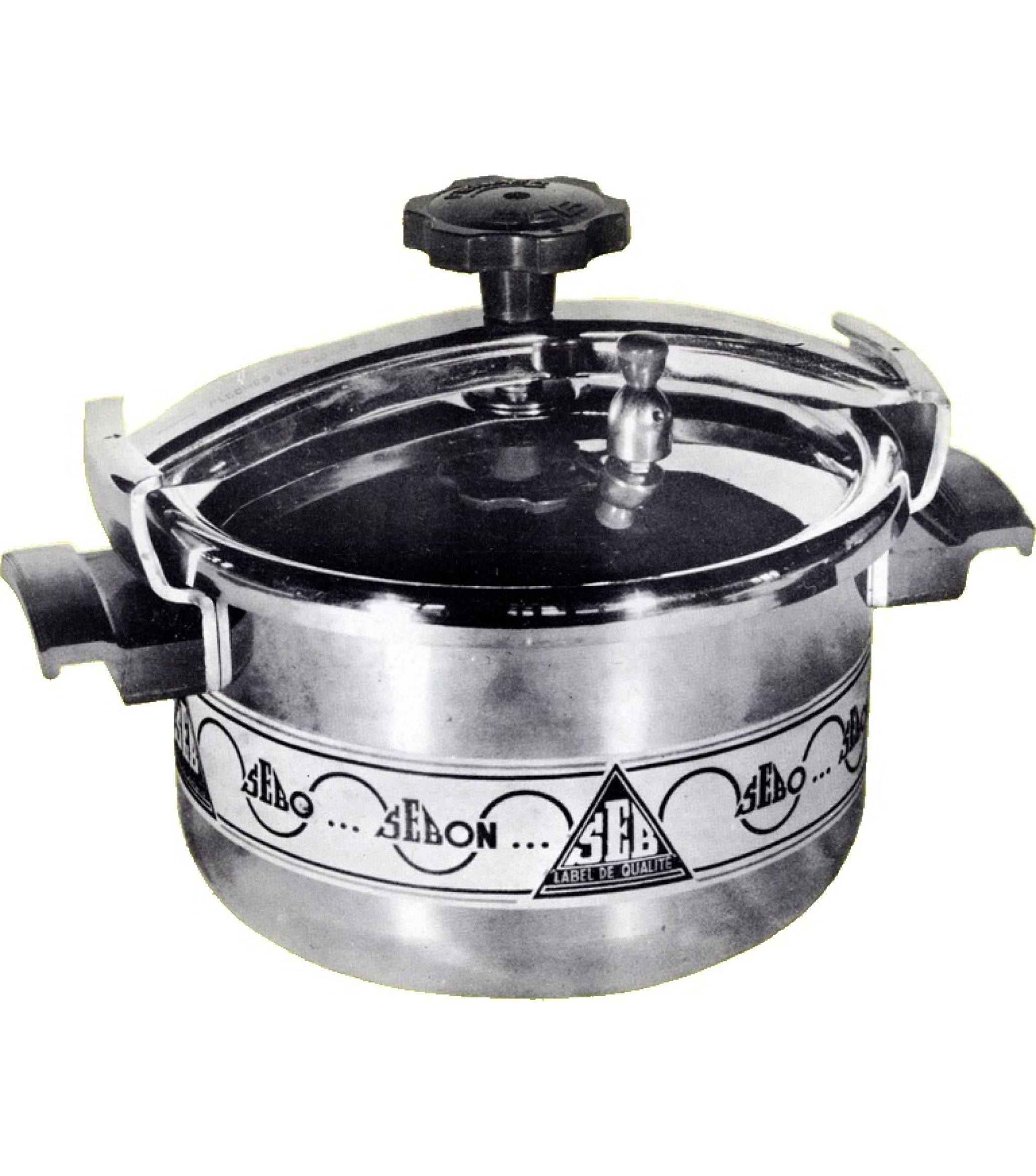 Tefal pressure cooker