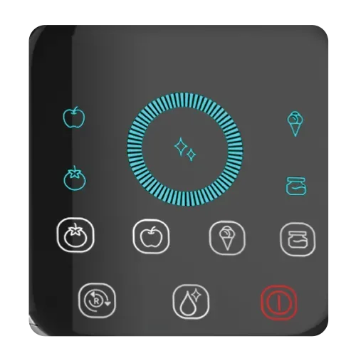 Touchscreen Panel